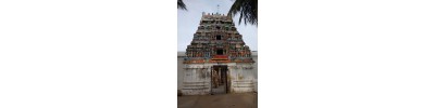 21. திருநந்திபுர விண்ணகரம்